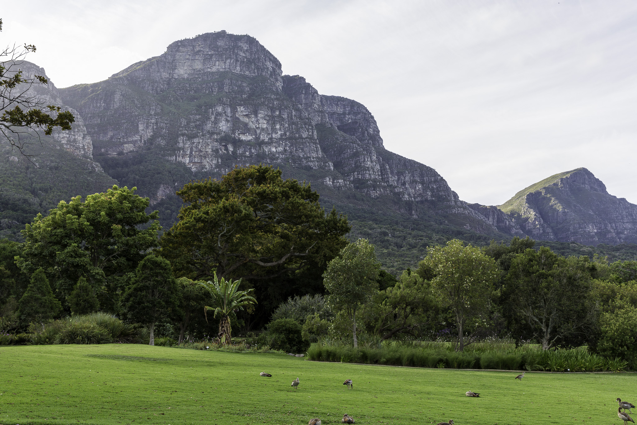 CapeTown-Kirstenbosch-C-22.jpg