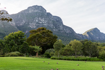 CapeTown-Kirstenbosch-C-22.jpg