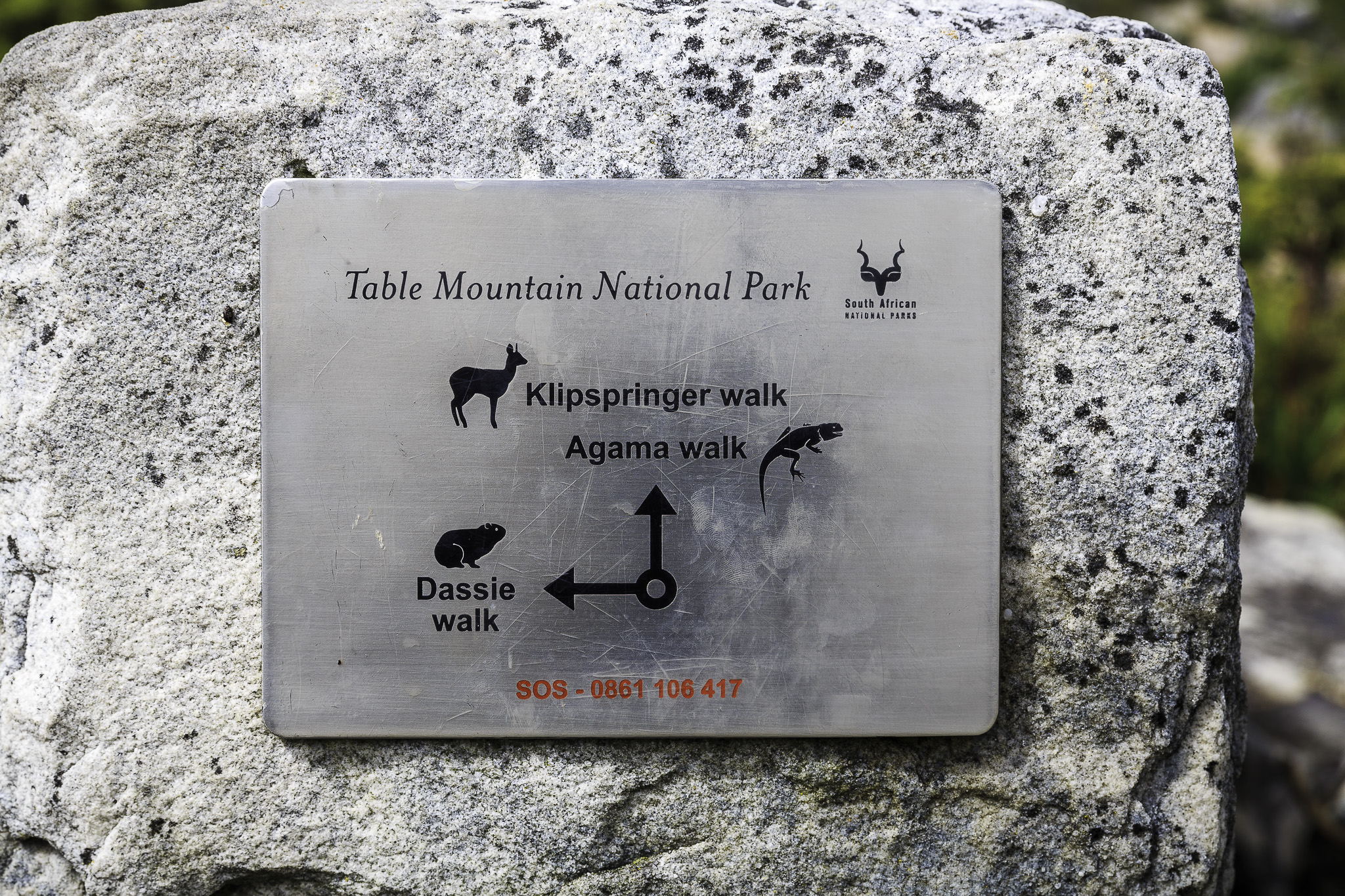 CapeTown-Table-Mountain-C-21.jpg