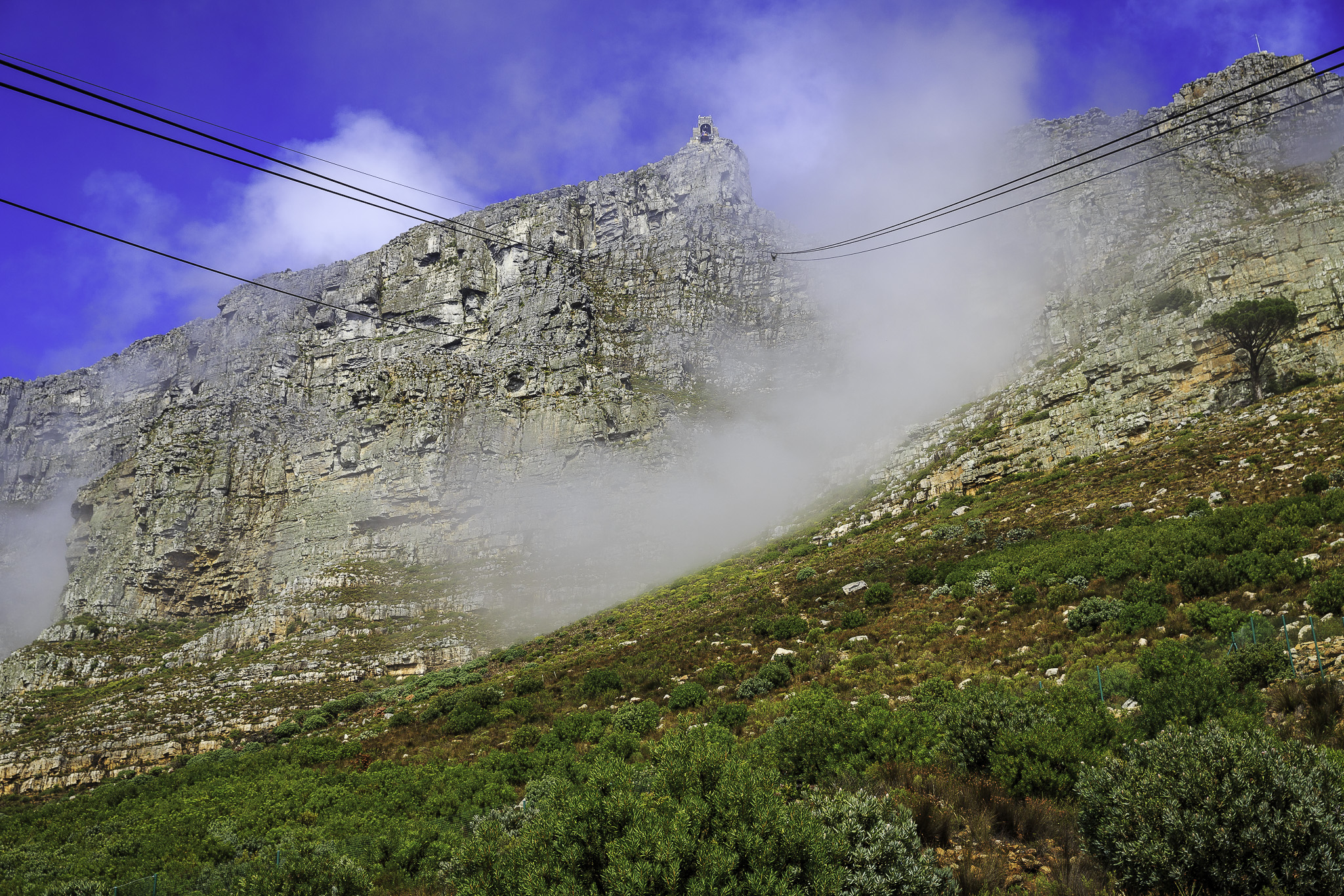 CapeTown-Table-Mountain-C-7.jpg