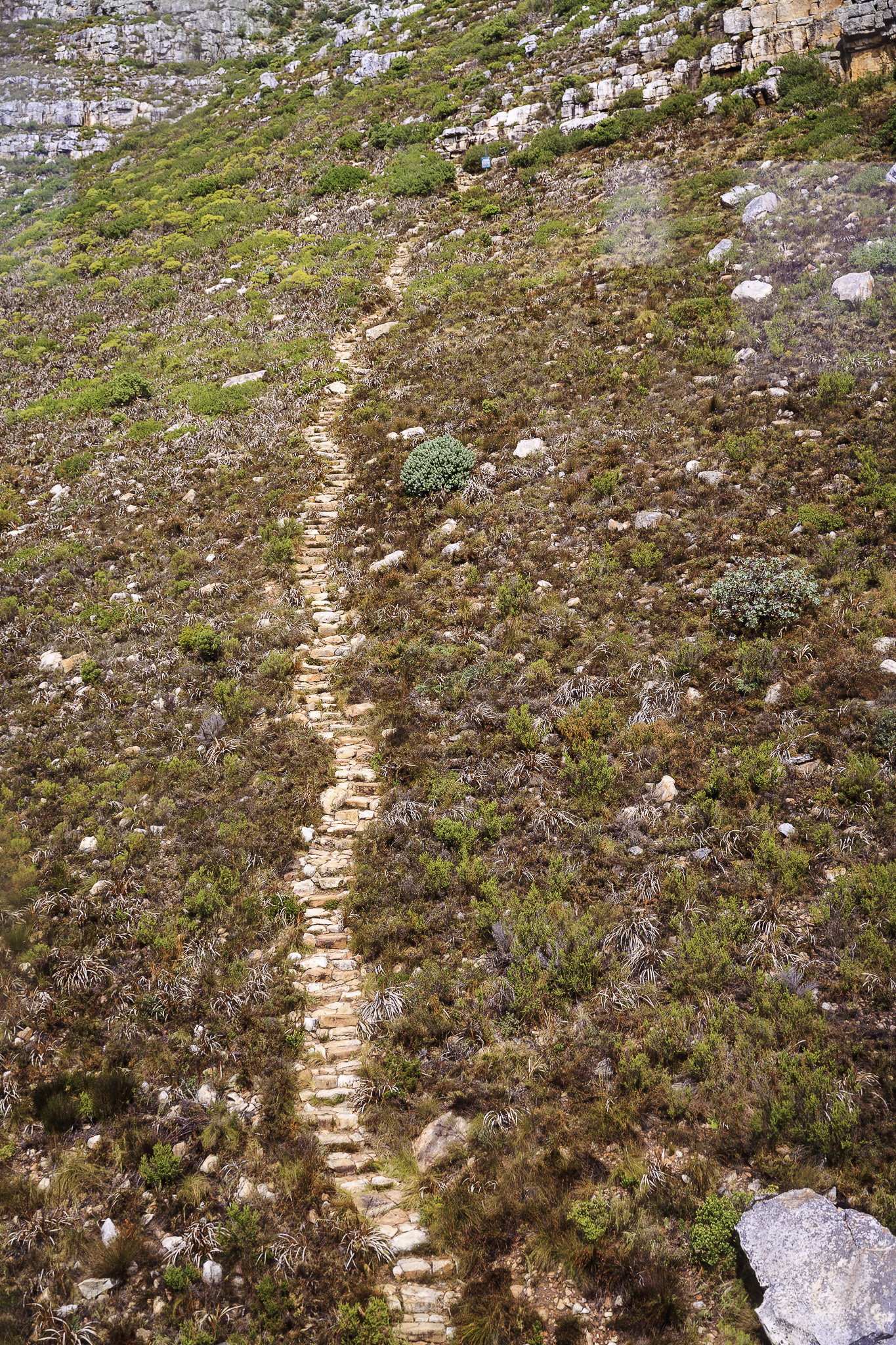 CapeTown-Table-Mountain-C-8.jpg