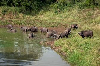 Hluhluwe Game reserve Hluhluwe Game reserve