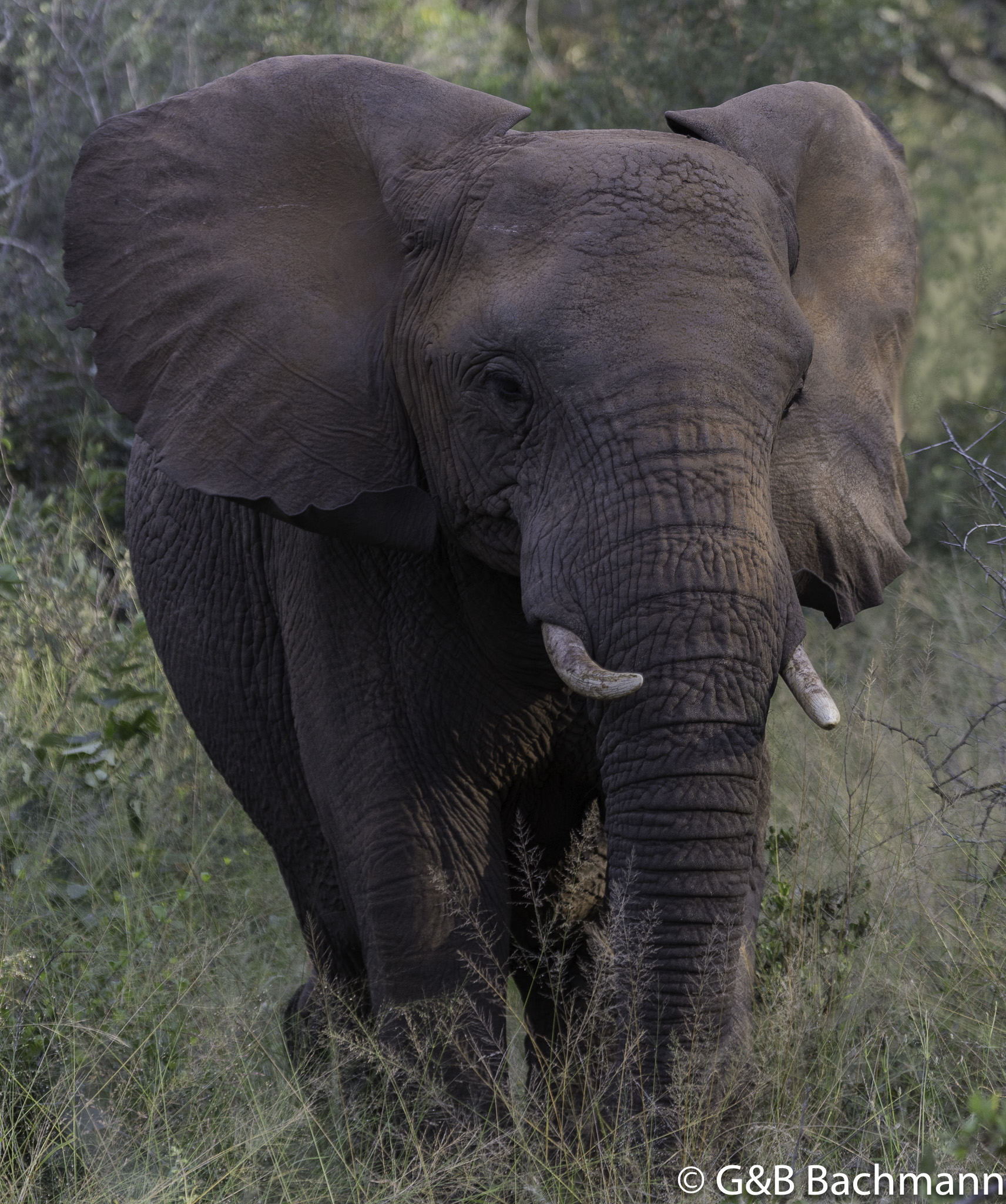 _S8B4359-Edit.jpg