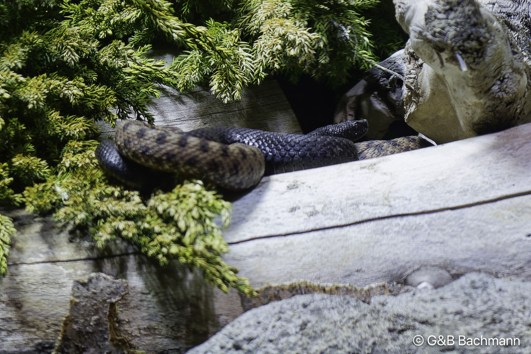 _DSC0198_DxO.jpg