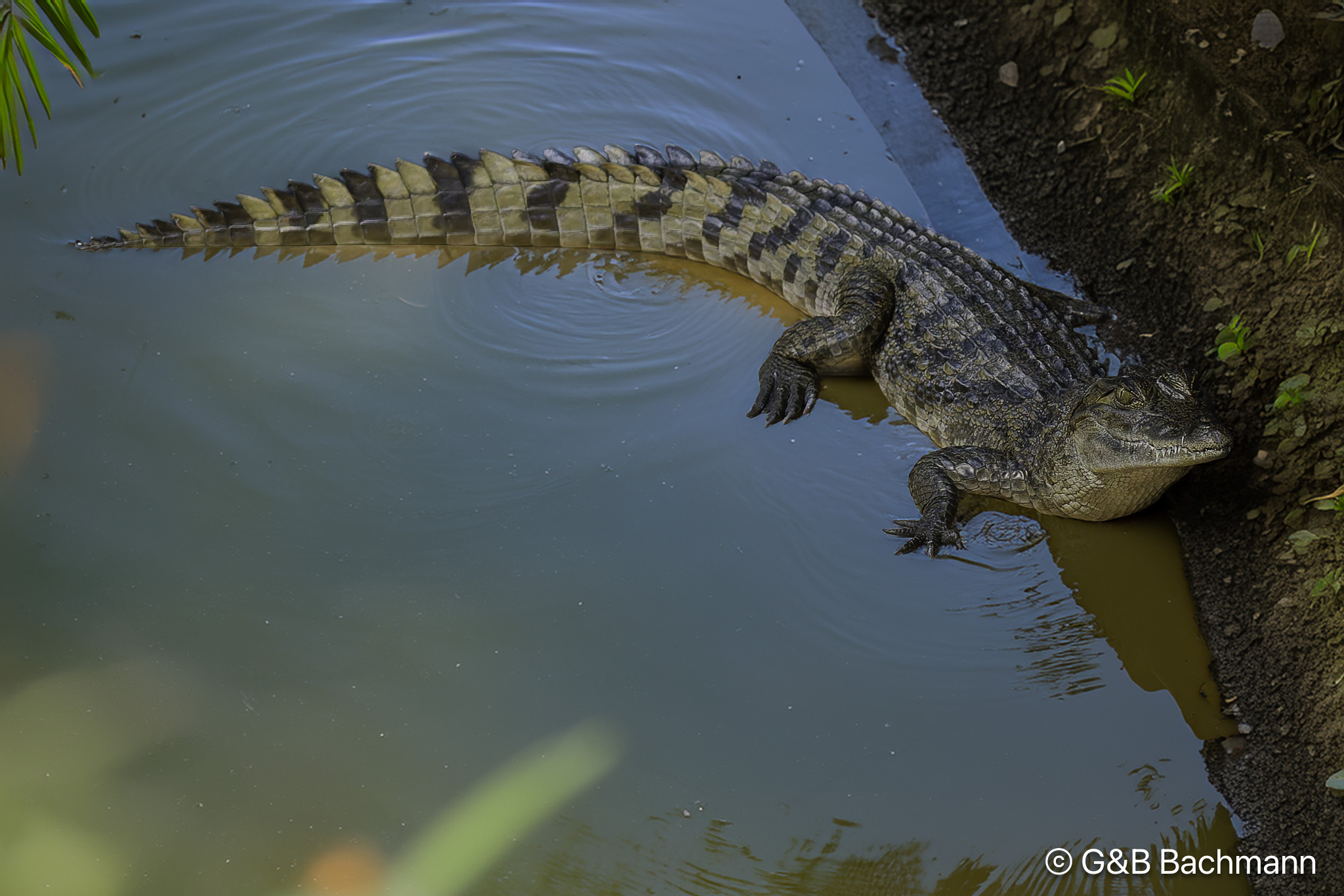 _DSC0225_DxO-Modifier.jpg