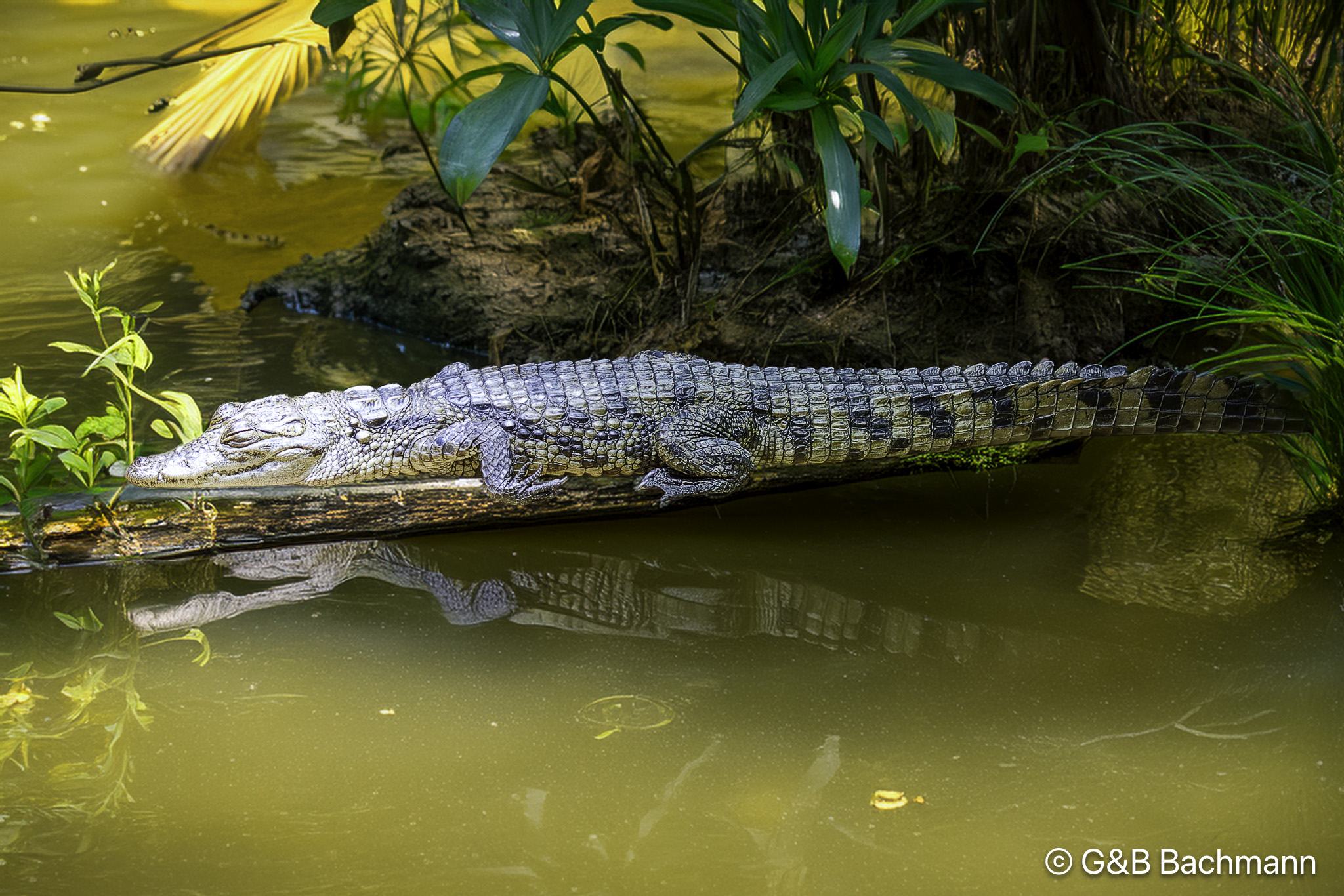 _DSC0227_DxO-Modifier.jpg