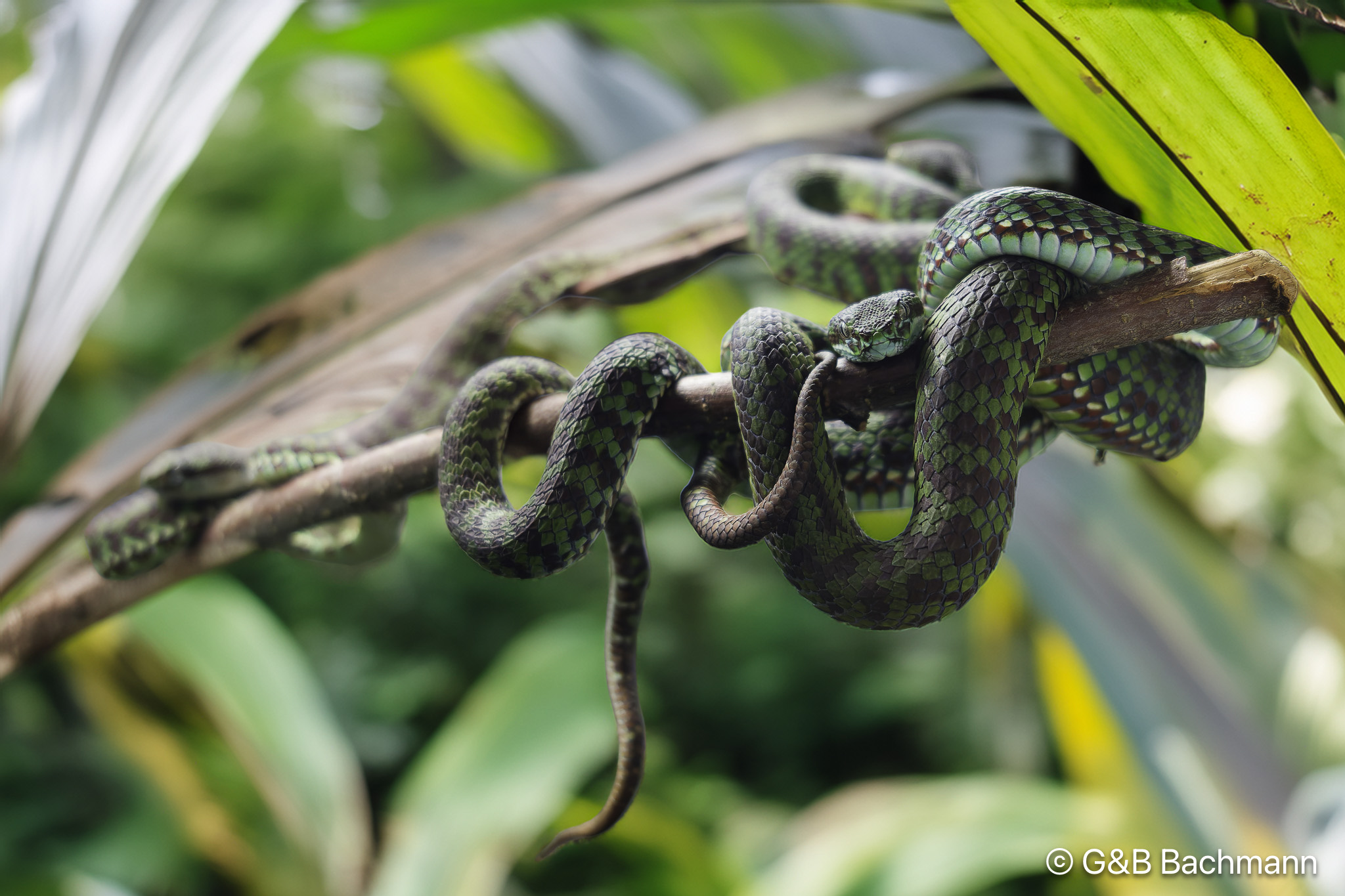 _DSC0237_DxO-Modifier.jpg