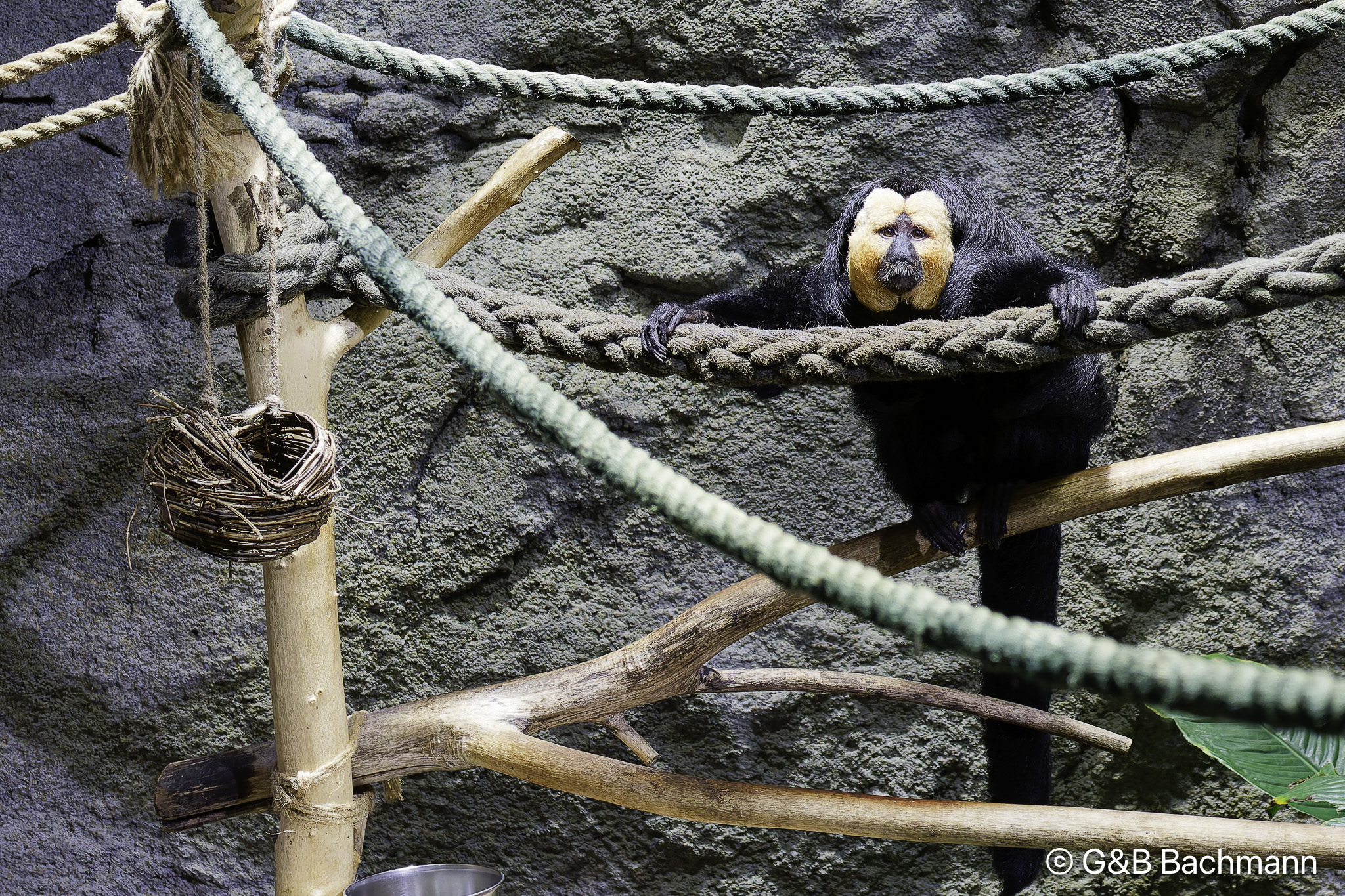 _DSC0342_DxO.jpg