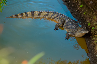 _DSC0225_DxO-Modifier.jpg