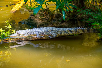 _DSC0227_DxO-Modifier.jpg