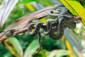 _DSC0237_DxO-Modifier.jpg