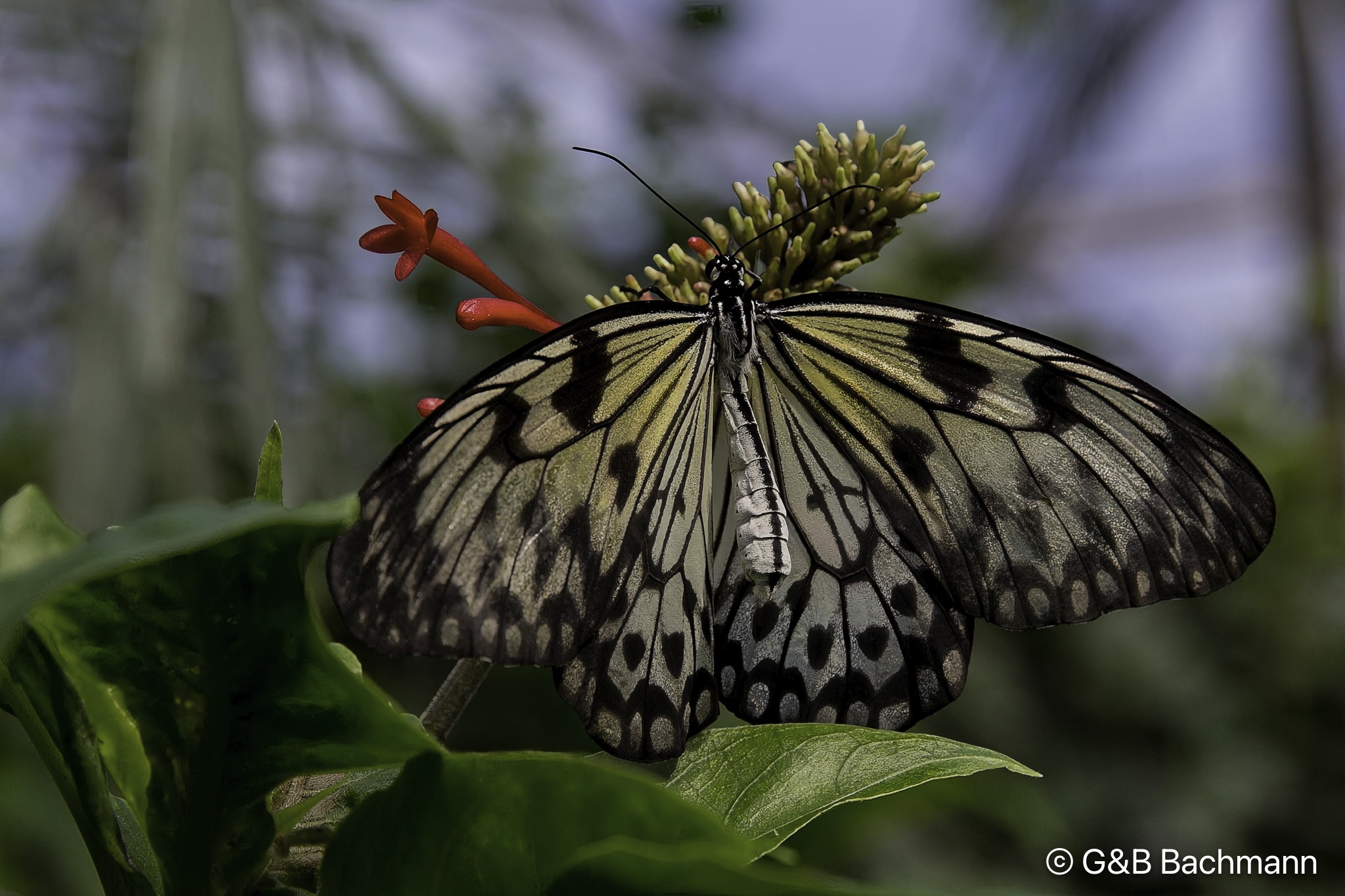 7S8B0019-Modifier.jpg