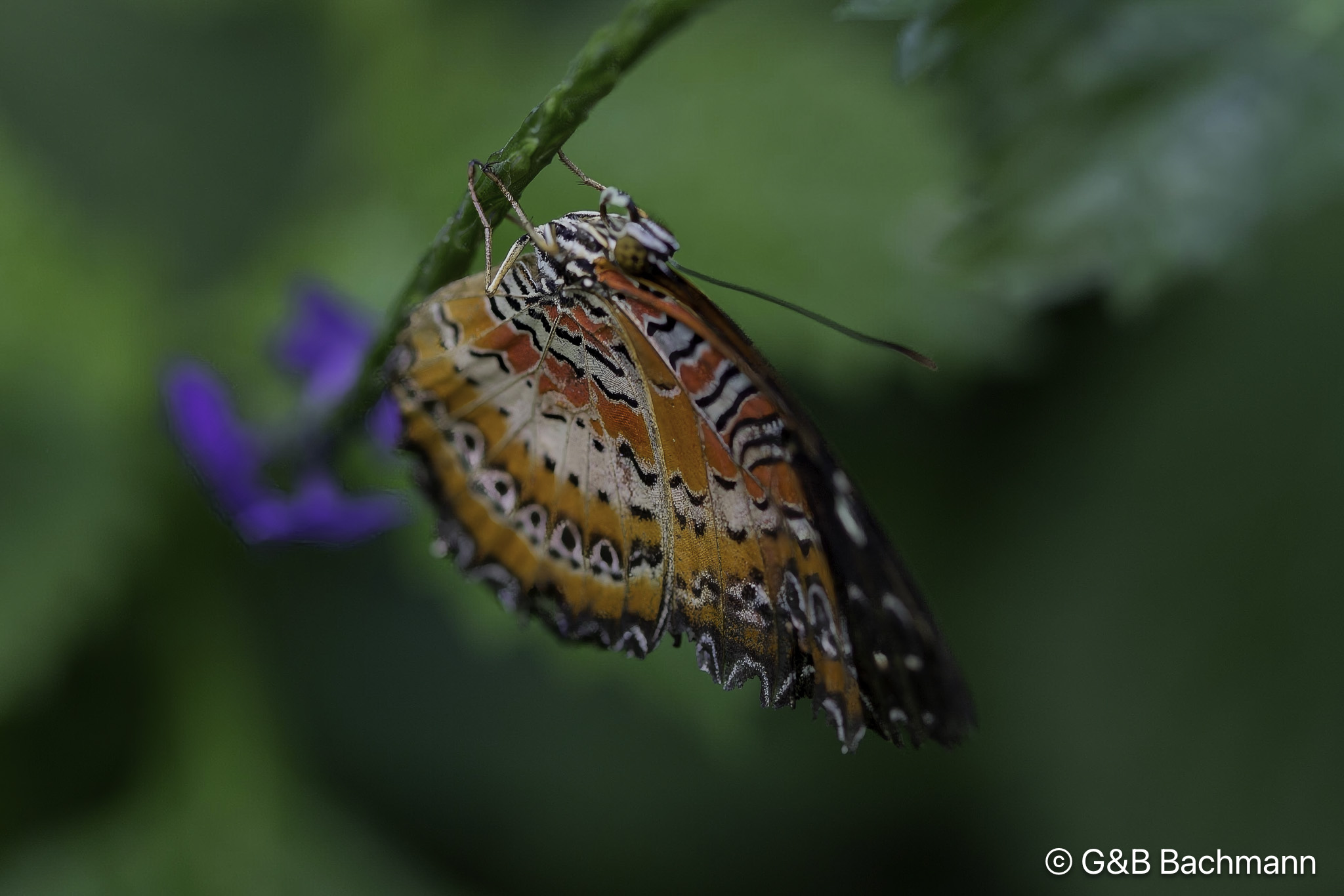 7S8B0026-Modifier.jpg