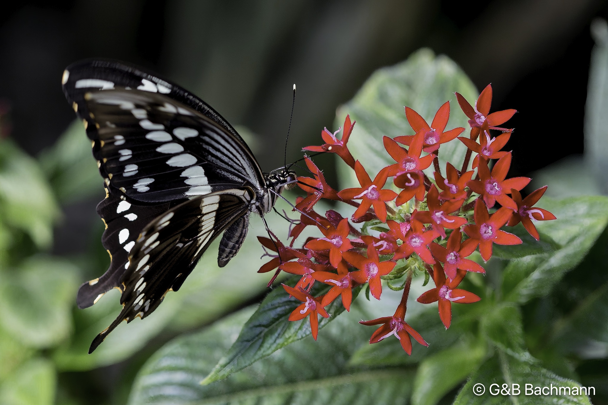 7S8B0098-Modifier.jpg