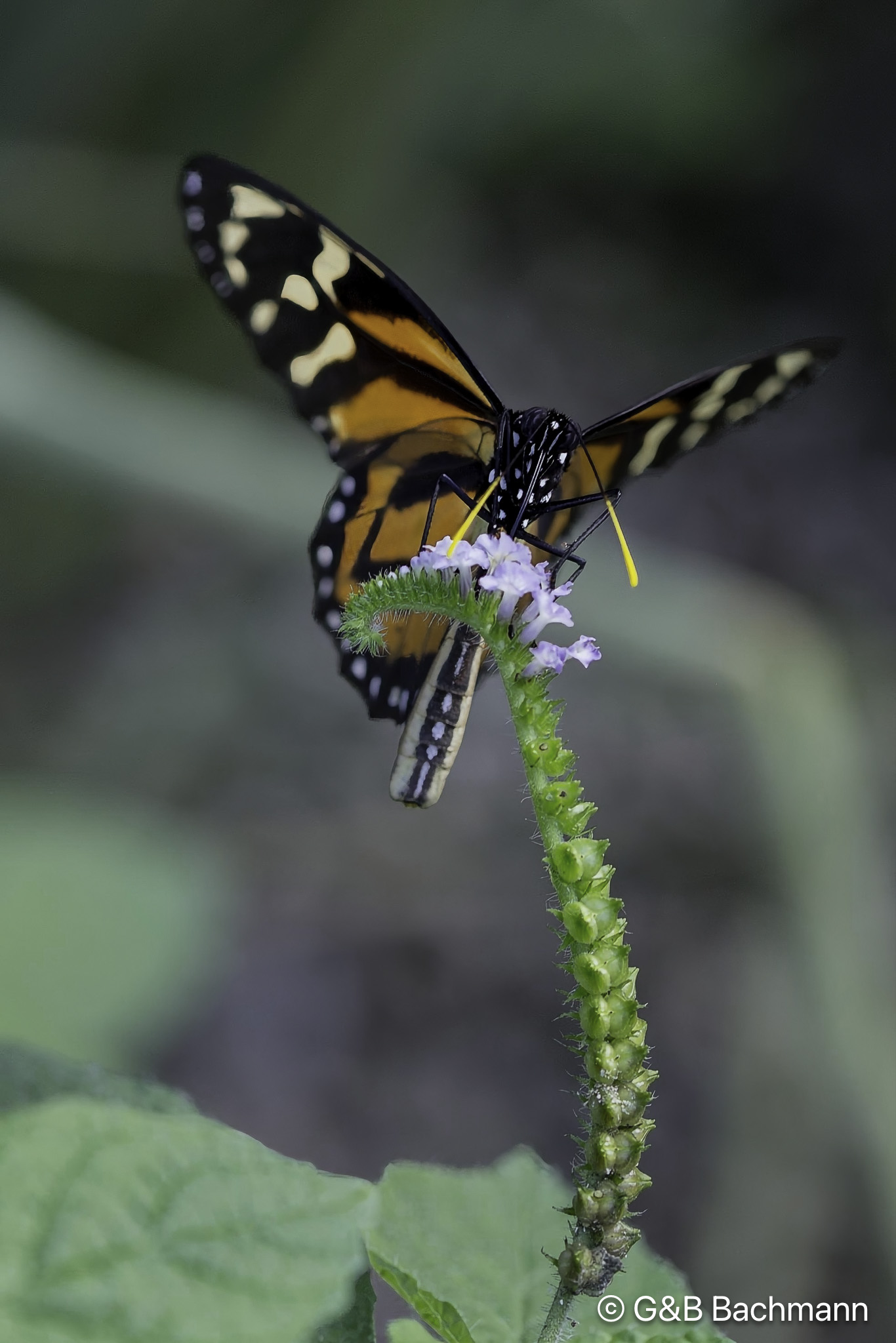 7S8B0109-Modifier.jpg