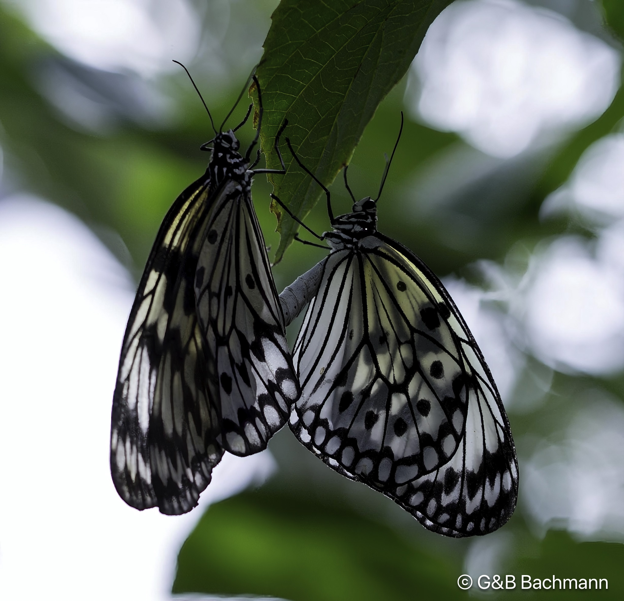 7S8B0223-Modifier.jpg