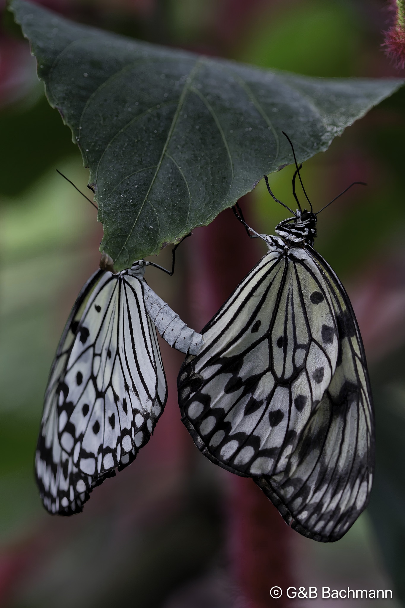 7S8B0226-Modifier.jpg