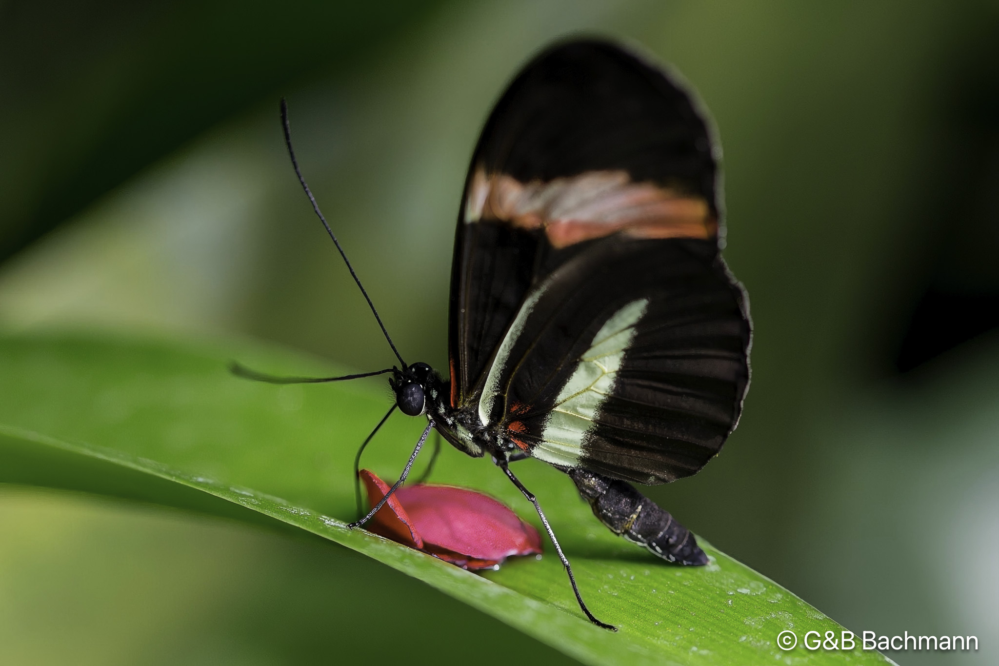 7S8B0230-Modifier.jpg