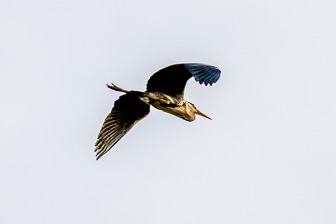 0W0A5721-Enhanced-NR.jpg