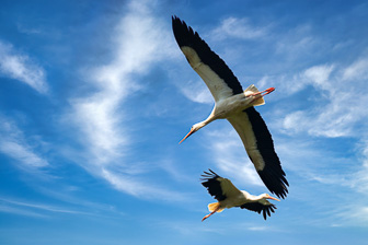 0W0A5923_DxO-Modifier_v2.jpg