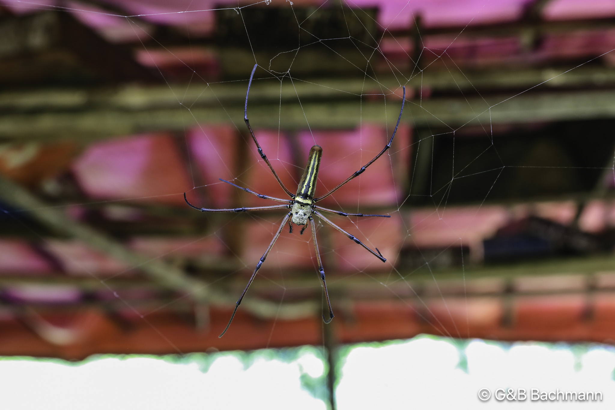108A7232.jpg