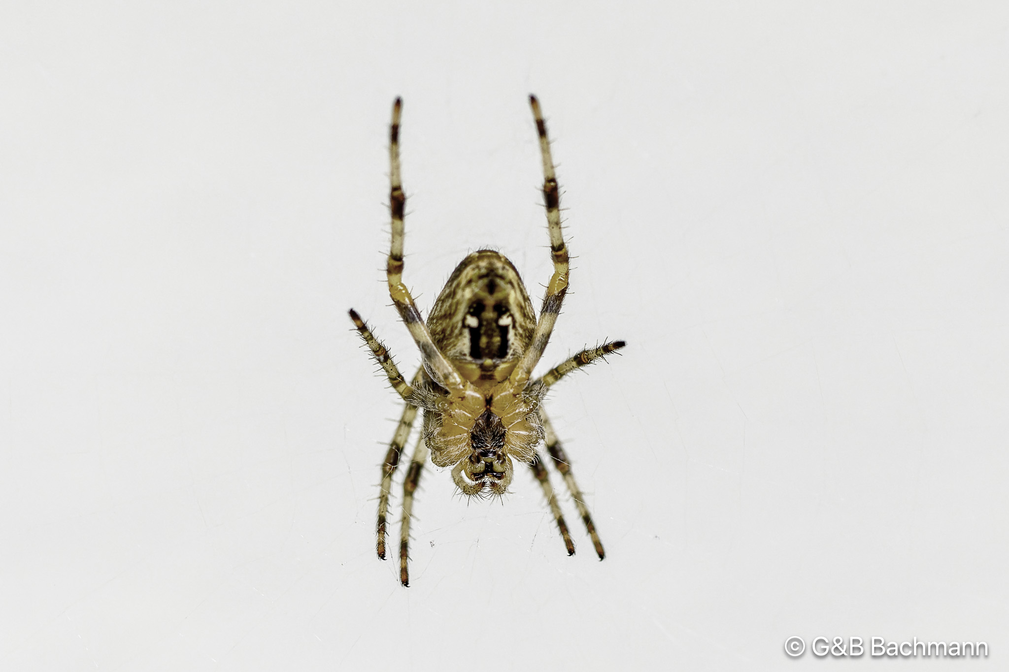108A8428_DxO.jpg