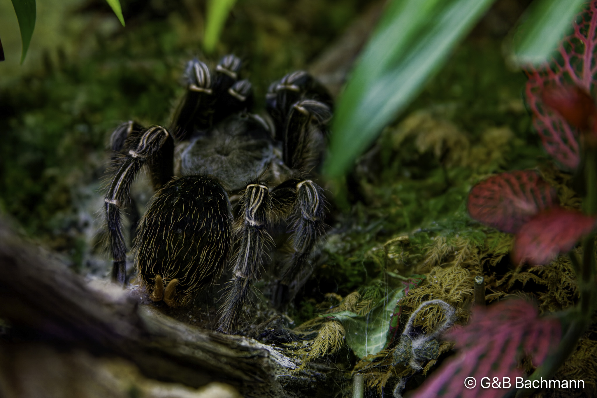 IMG_3079_DxO.jpg