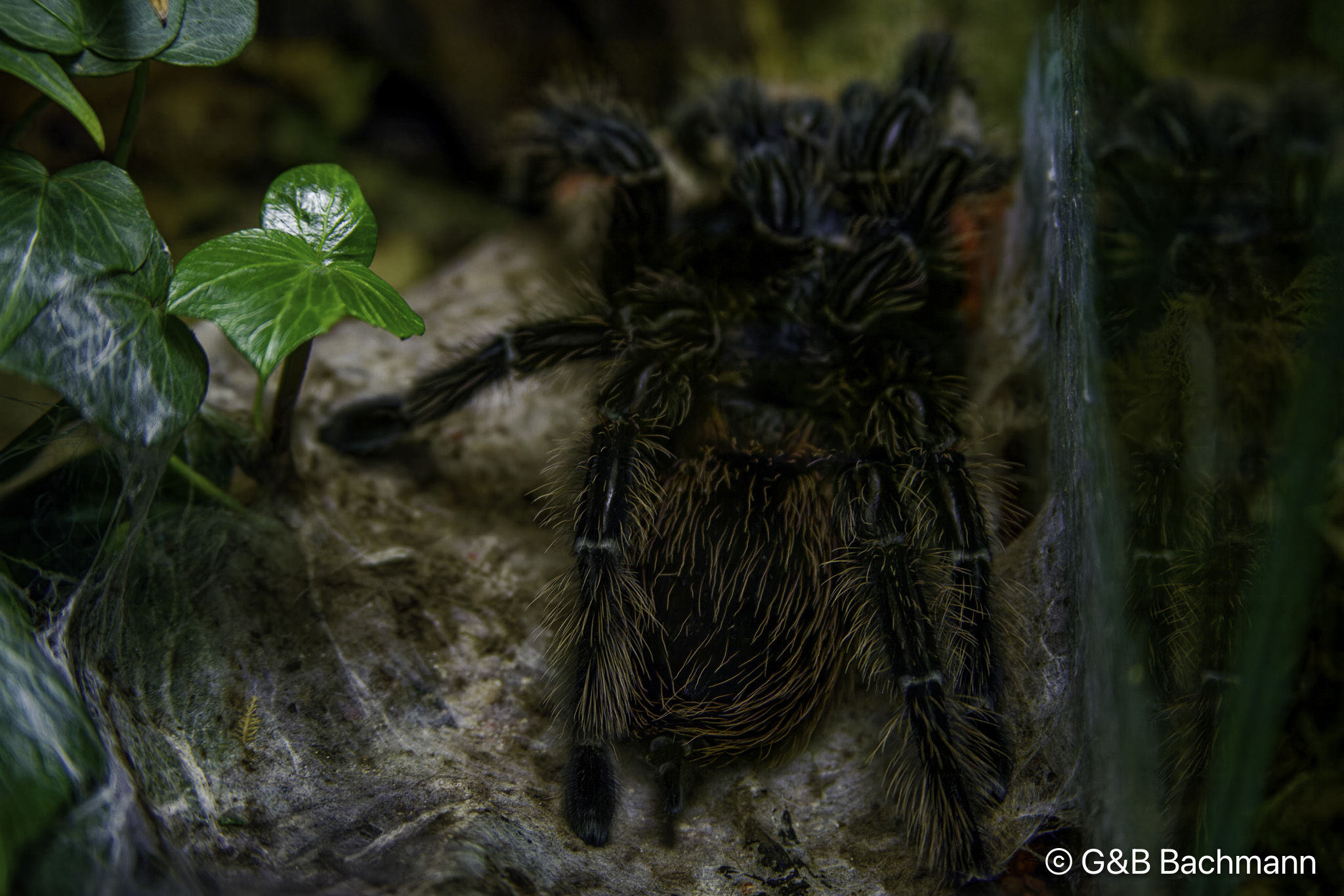 IMG_3085_DxO.jpg
