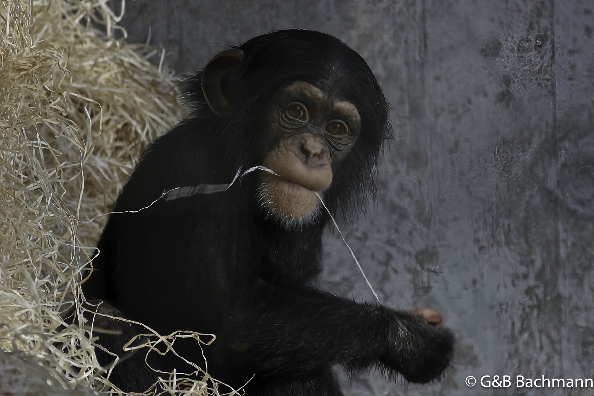 Zoo-Basel_0005-2.jpg