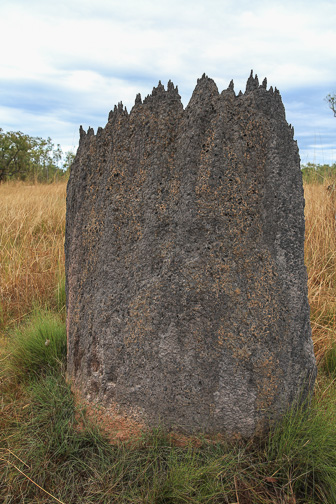 7S8B8626.jpg