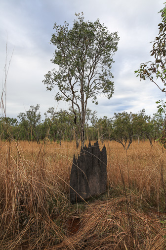 7S8B8635.jpg