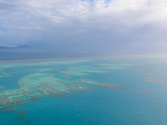 Cairns - Coral Reef Cairns - Coral Reef