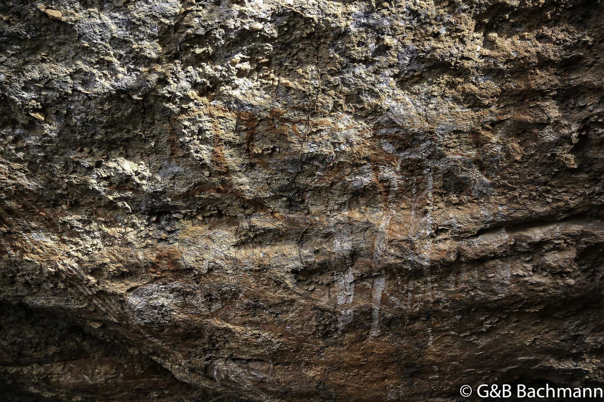 7S8B8749-Modifier.jpg