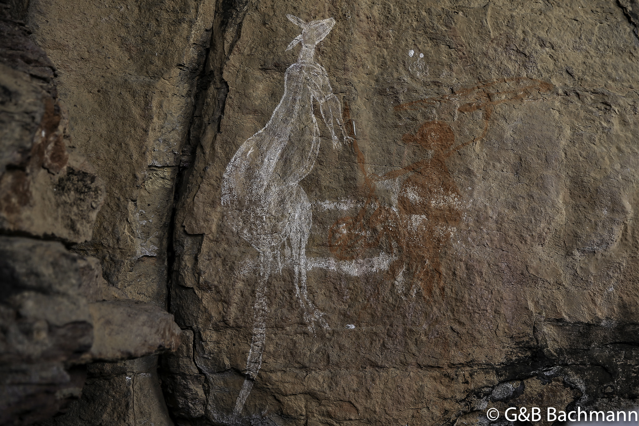 7S8B8761-Modifier.jpg