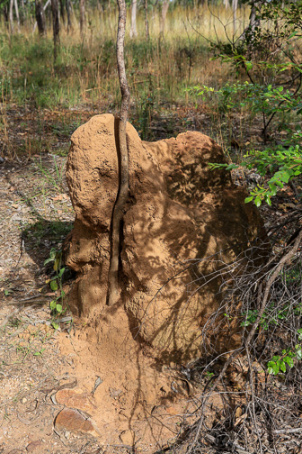 7S8B8736.jpg