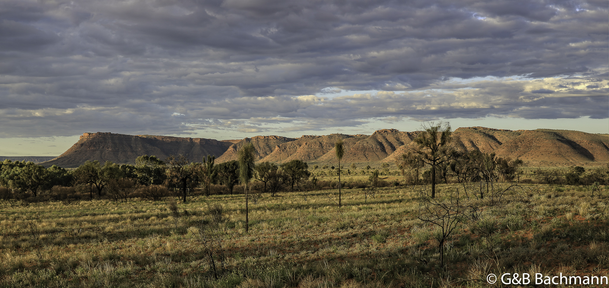 Panorama_Kings_Canyon_v2-Modifier.jpg