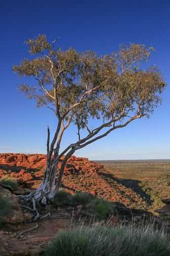 Kings Canyon - Watarrka National Park