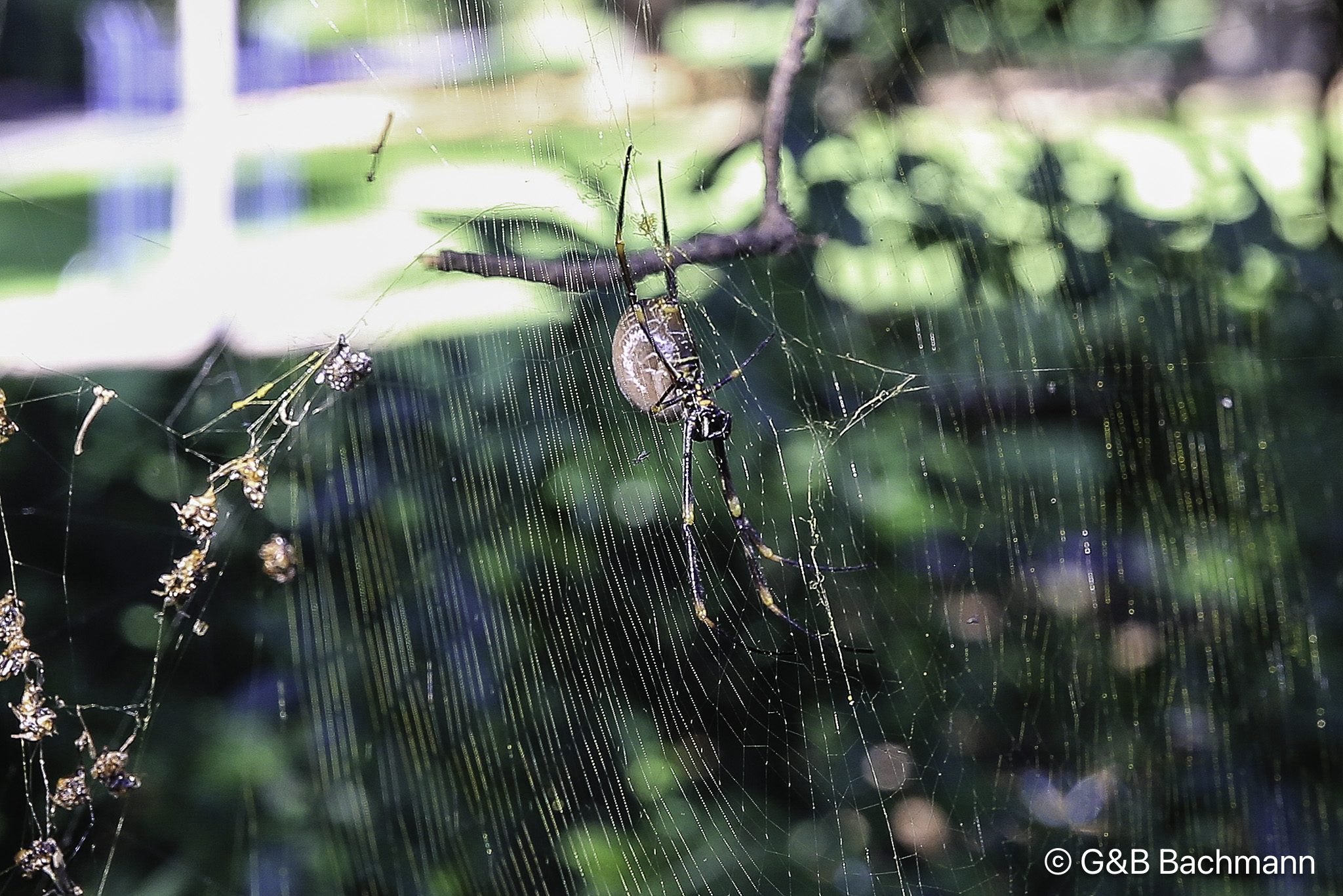 7S8B7595-Edit.jpg