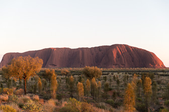 Uluru - Ayers Rock