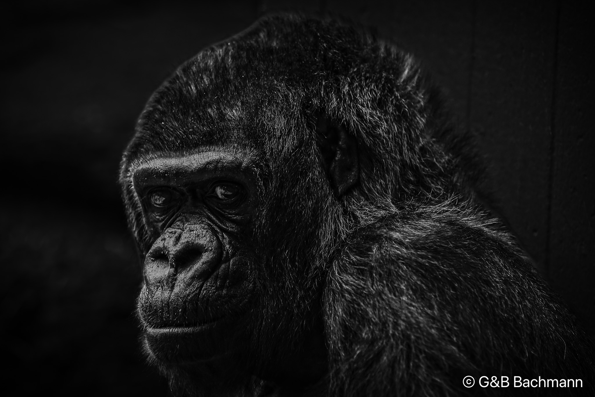 7S8B3870-Edit.jpg