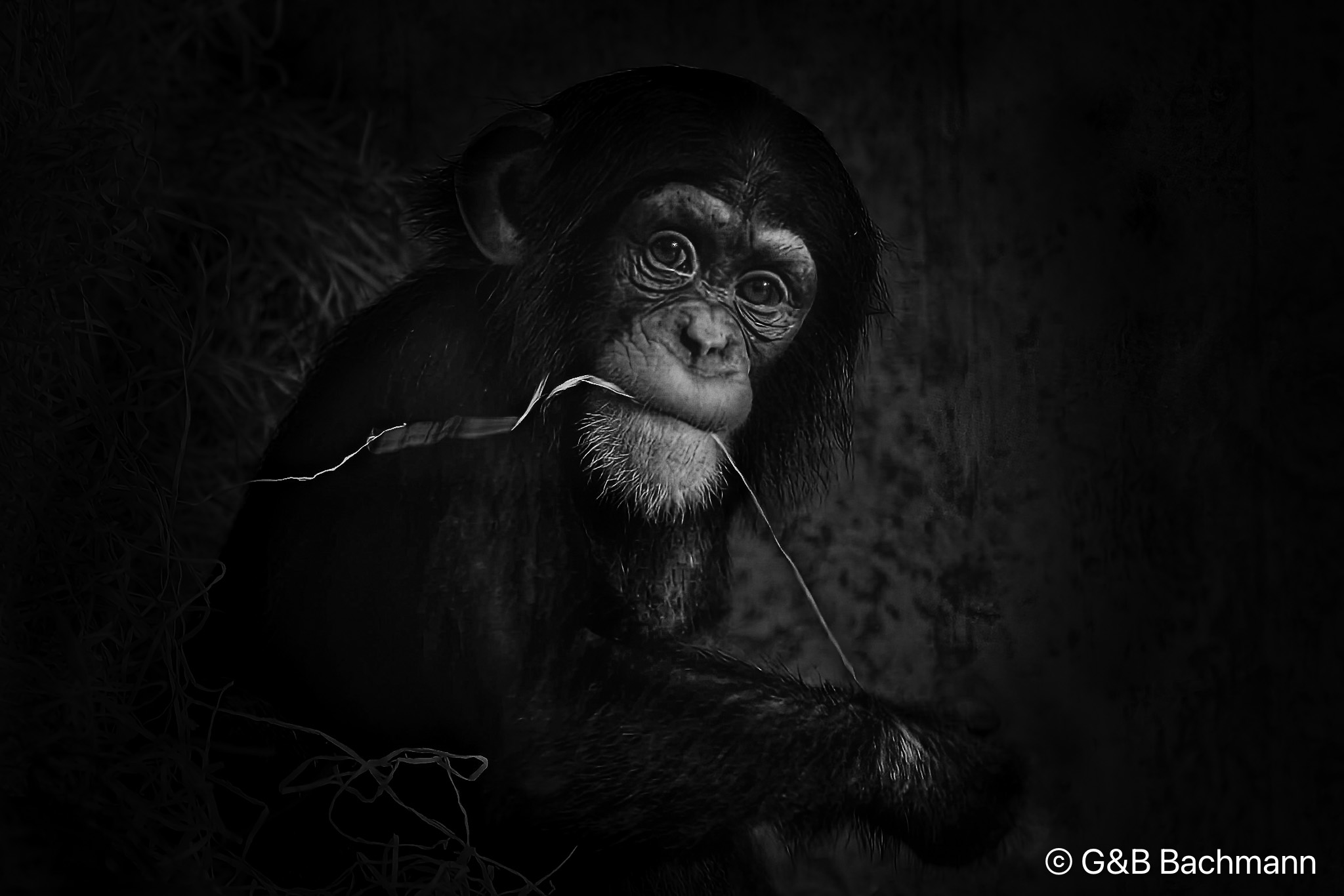 Zoo-Basel_0005-2_DxO.jpg