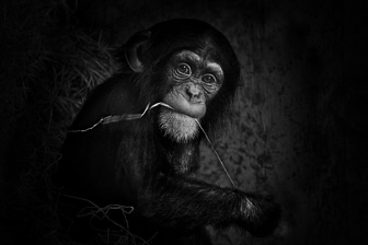 Zoo-Basel_0005-2_DxO.jpg