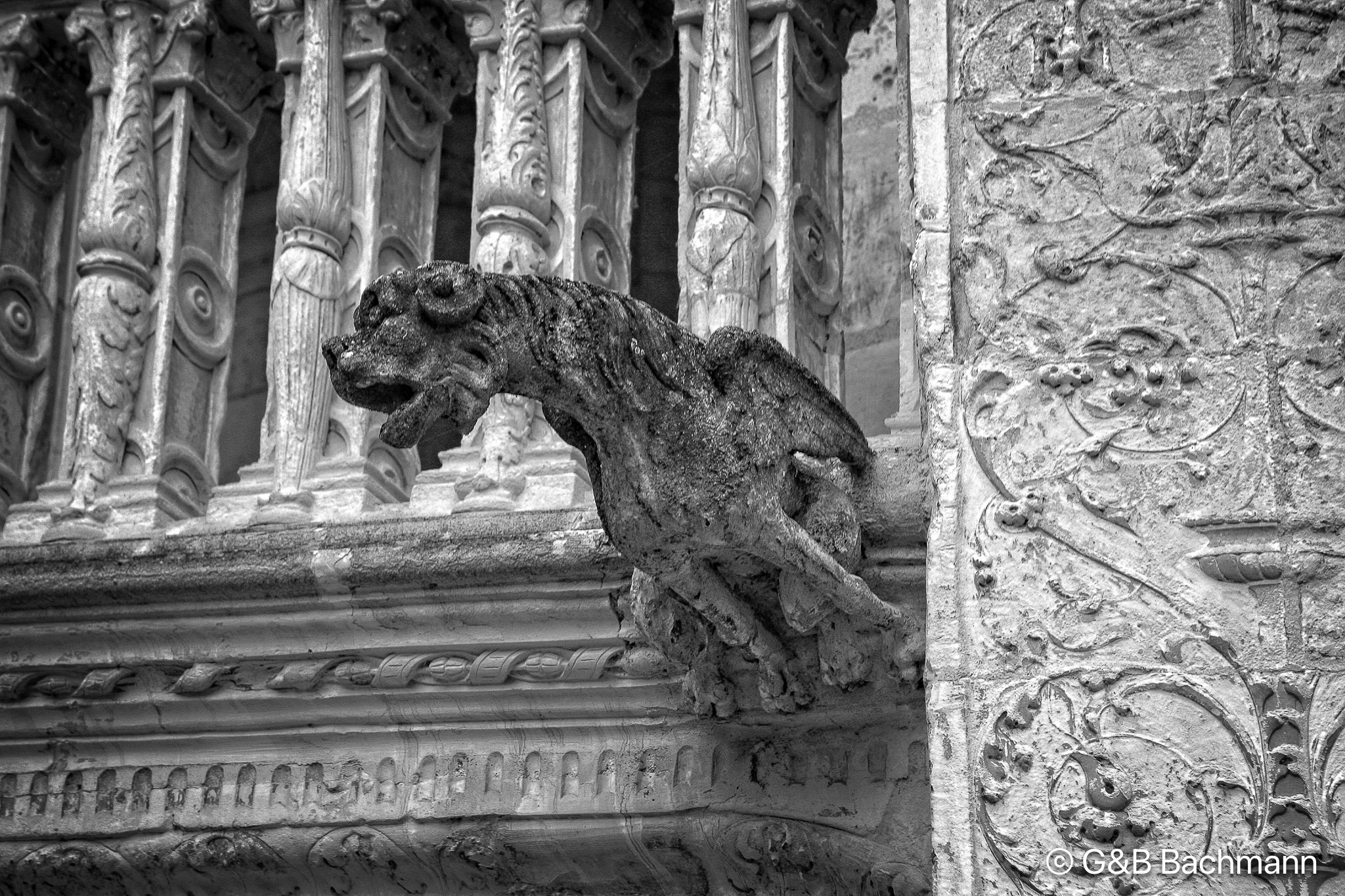 Blois_0014v1.jpg