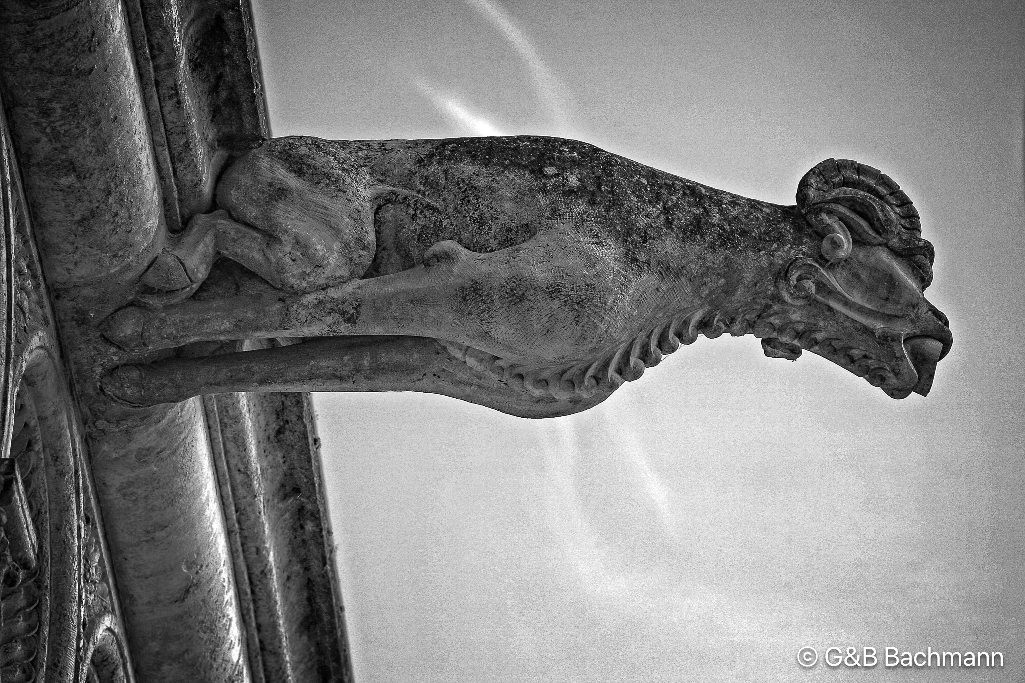 Blois_0016v1.jpg