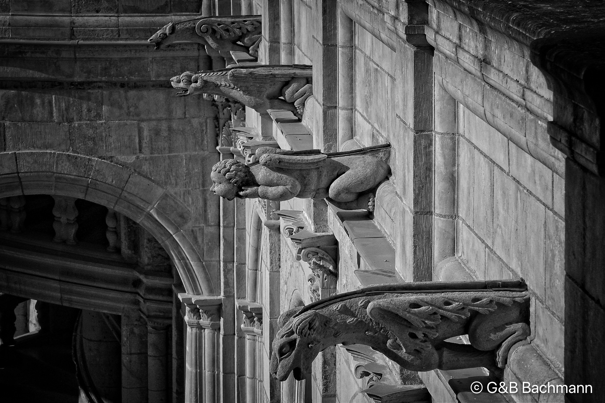 Chambord_0056v1.jpg