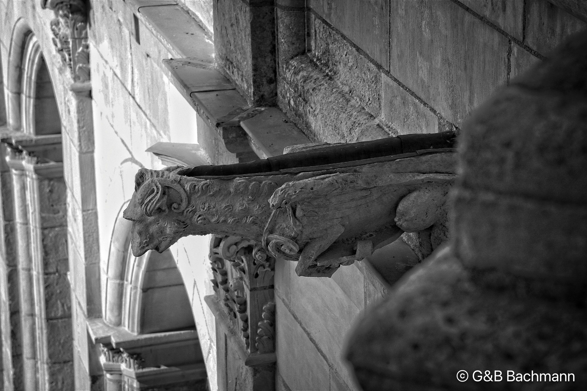 Chambord_0057v1.jpg