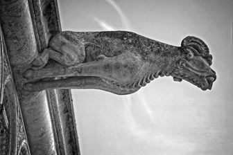 Blois_0016v1.jpg