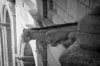 Chambord_0057v1.jpg