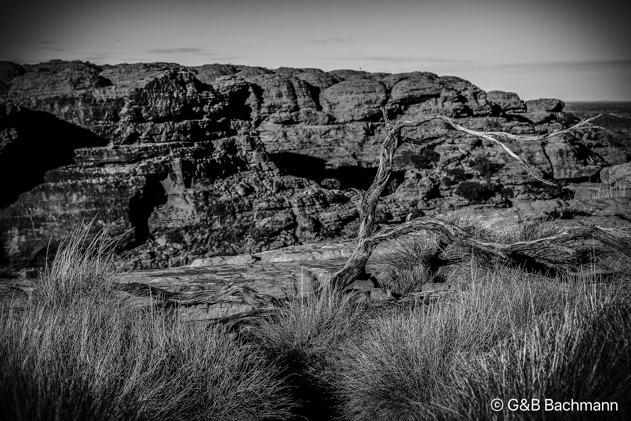 7S8B8468-Edit.jpg