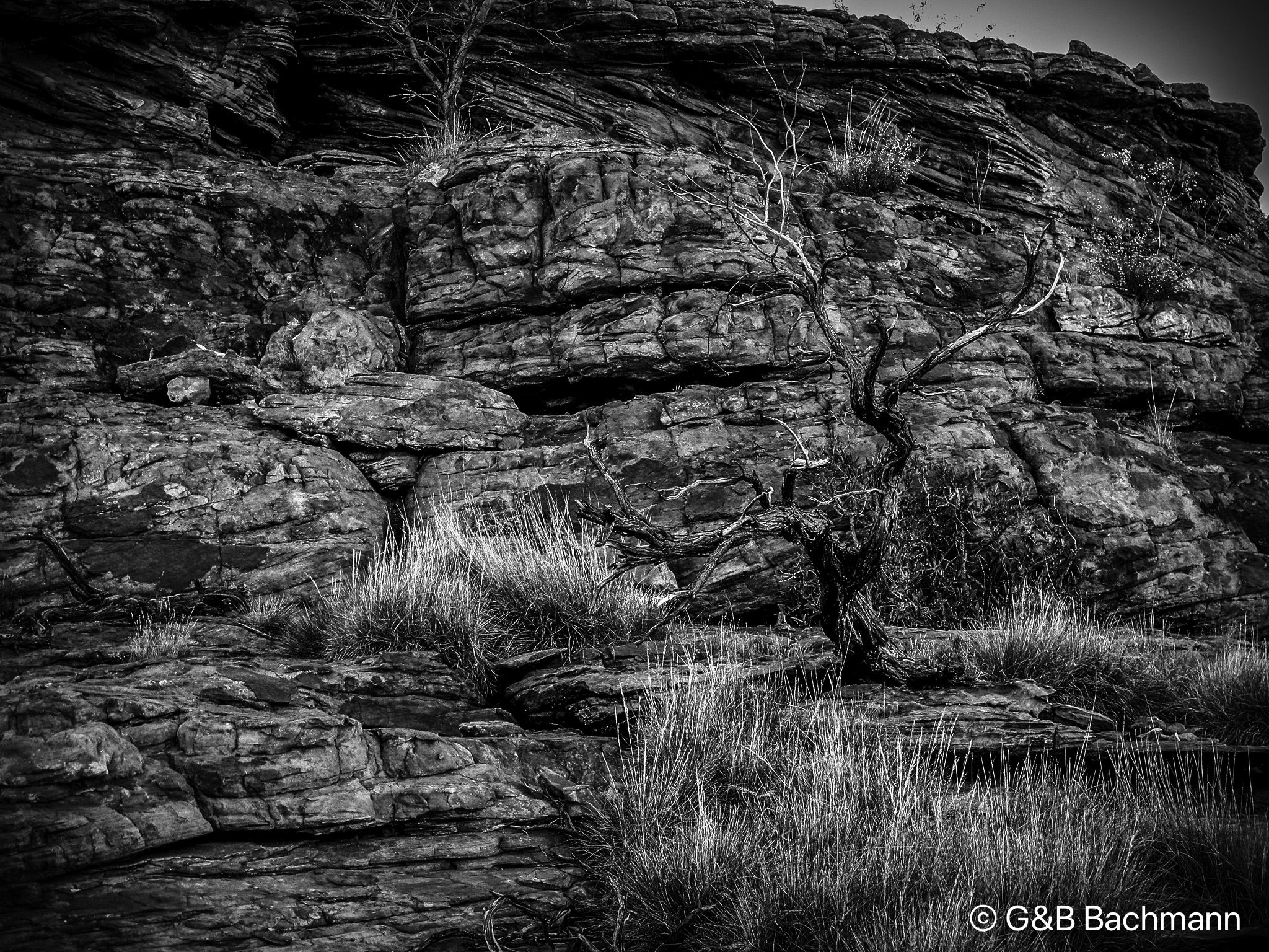 IMG_6012-Edit.jpg